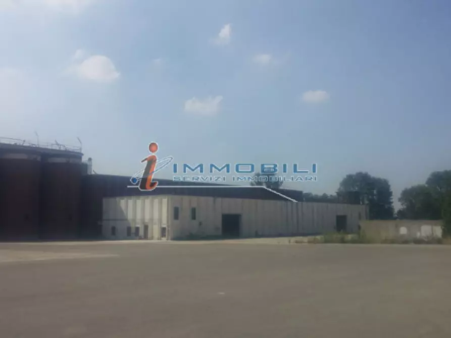 Immagine 3 di Terreno in vendita  in VIA PURICELLI GIAN PIETRO a Retorbido