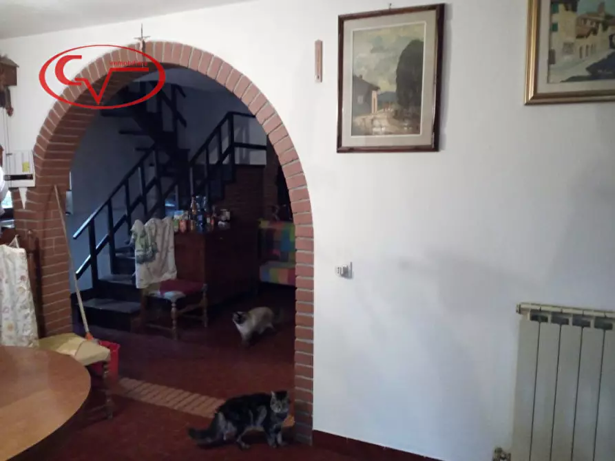 Immagine 11 di Rustico / casale in vendita  in cennina a Bucine