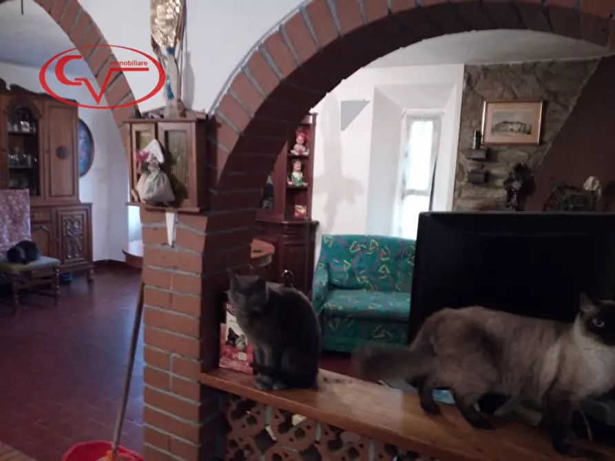 Immagine 24 di Rustico / casale in vendita  in cennina a Bucine