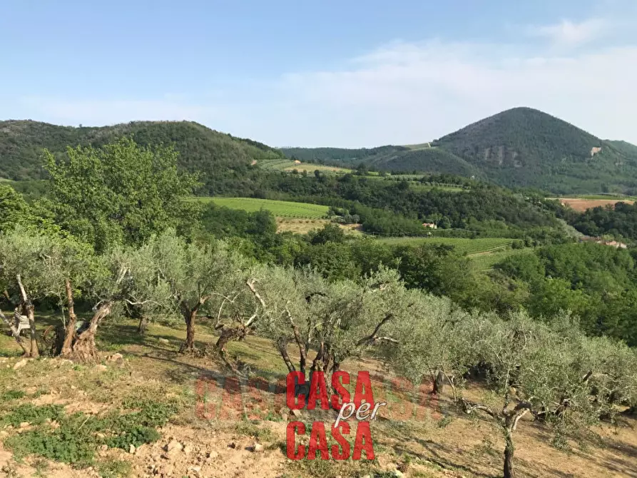 Immagine 21 di Rustico / casale in vendita  in valnogaredo a Cinto Euganeo