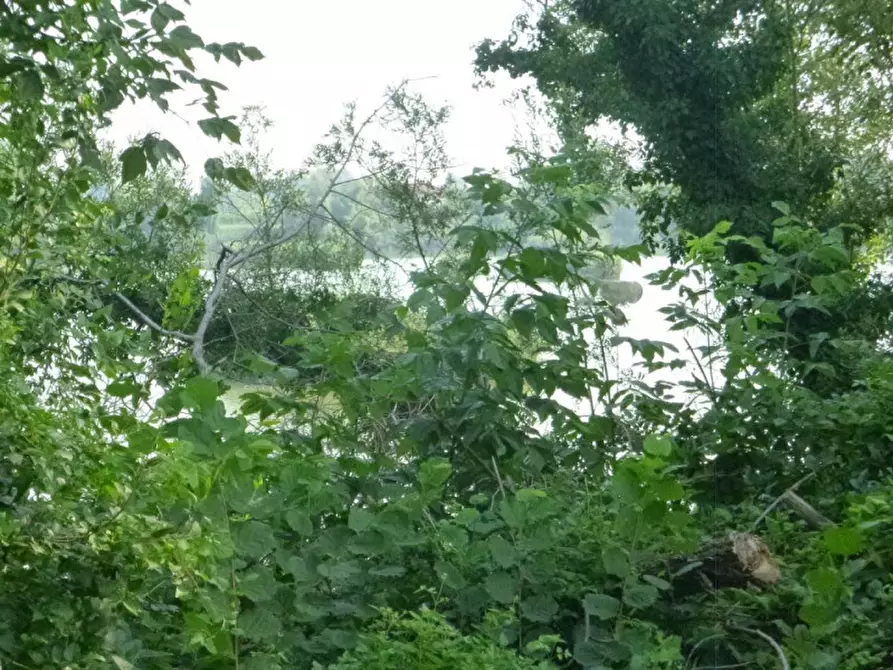 Immagine 1 di Terreno in vendita  in BASTIA a Casale Sul Sile