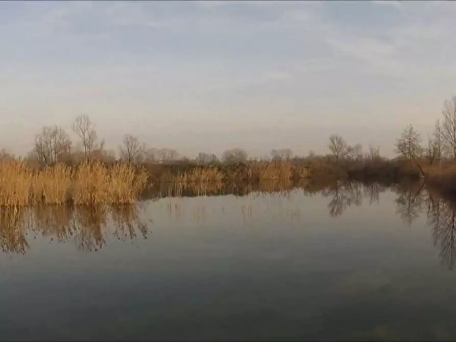 Immagine 2 di Terreno in vendita  in BASTIA a Casale Sul Sile