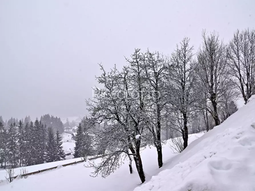 Immagine 16 di Appartamento in affitto  in Cojana a Cortina D'ampezzo