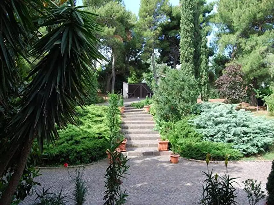 Immagine 2 di Casa indipendente in vendita  a Senigallia