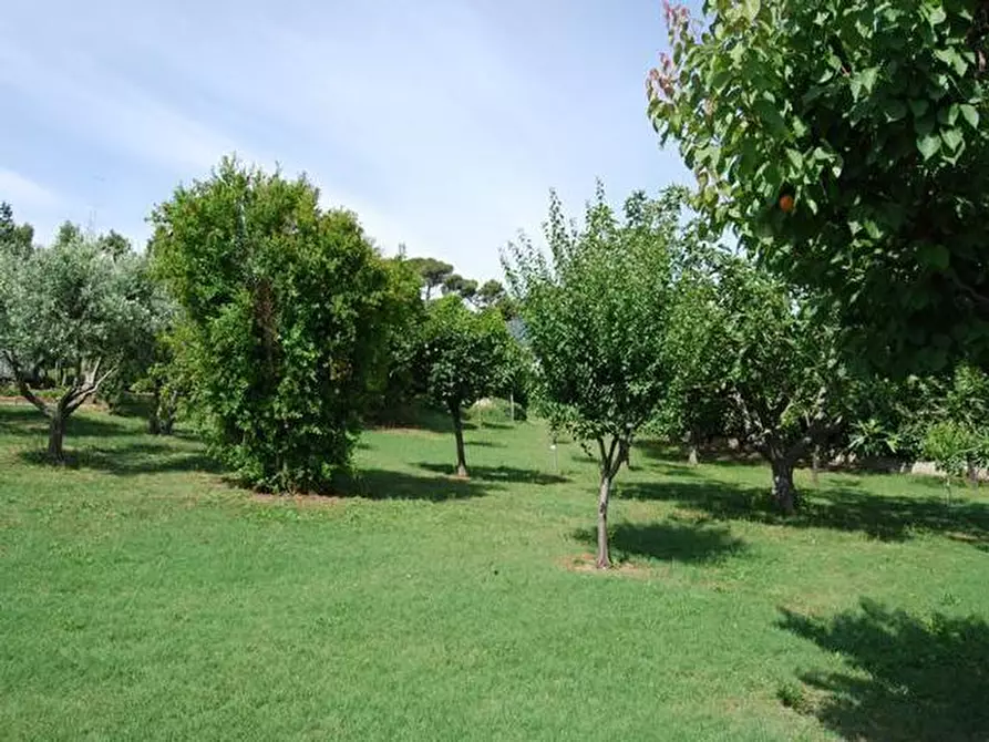 Immagine 22 di Casa indipendente in vendita  a Senigallia