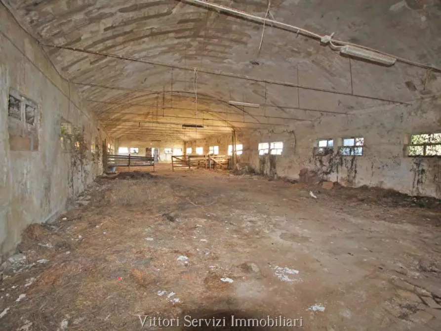 Immagine 15 di Rustico / casale in vendita  in via dei manufatti a Rapolano Terme