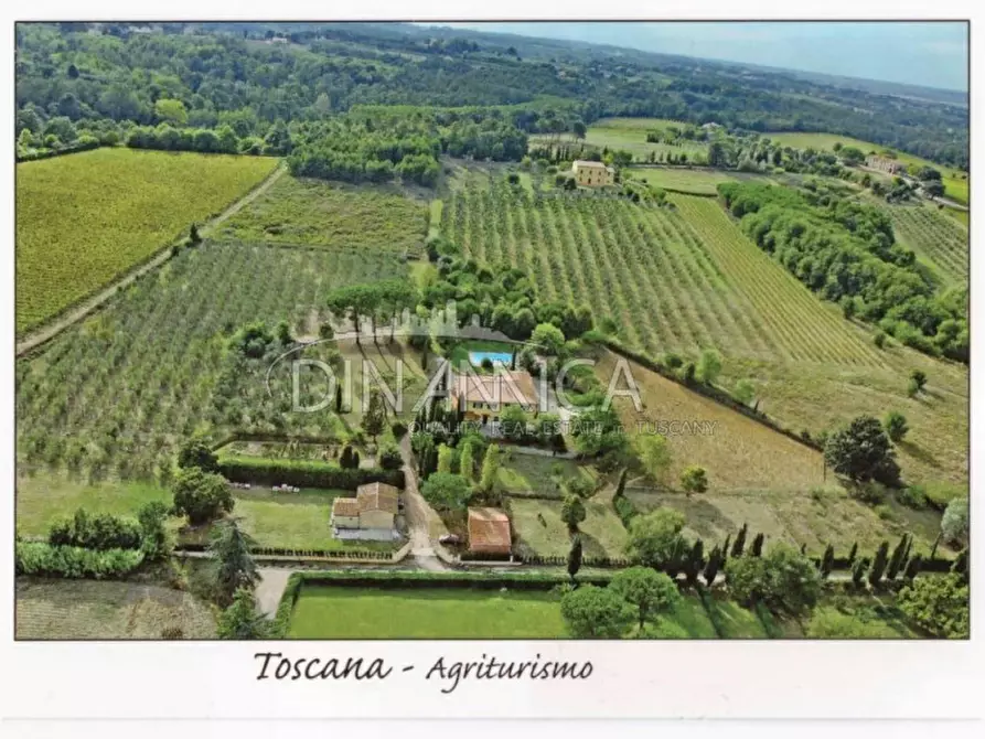 Immagine 23 di Villa in vendita  a Crespina Lorenzana