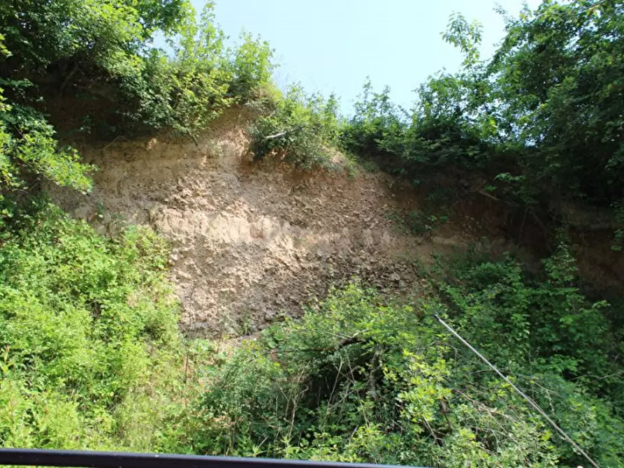 Immagine 20 di Terreno in vendita  a Cagli