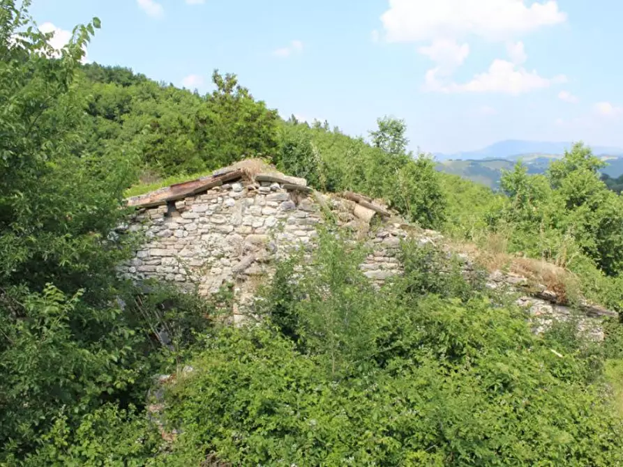 Immagine 21 di Terreno in vendita  a Cagli