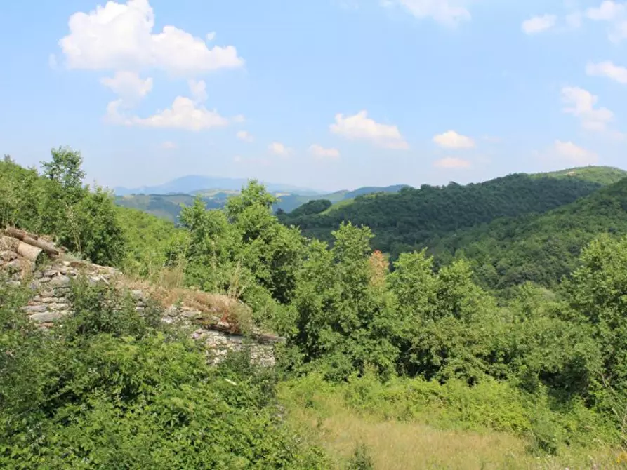 Immagine 22 di Terreno in vendita  a Cagli