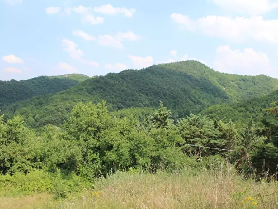 Immagine 23 di Terreno in vendita  a Cagli