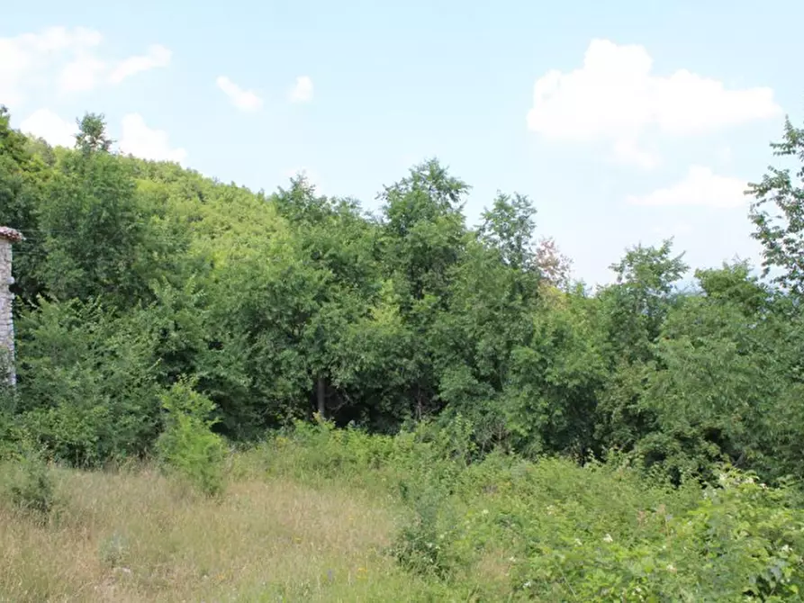 Immagine 25 di Terreno in vendita  a Cagli
