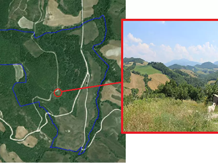 Immagine 26 di Terreno in vendita  a Cagli