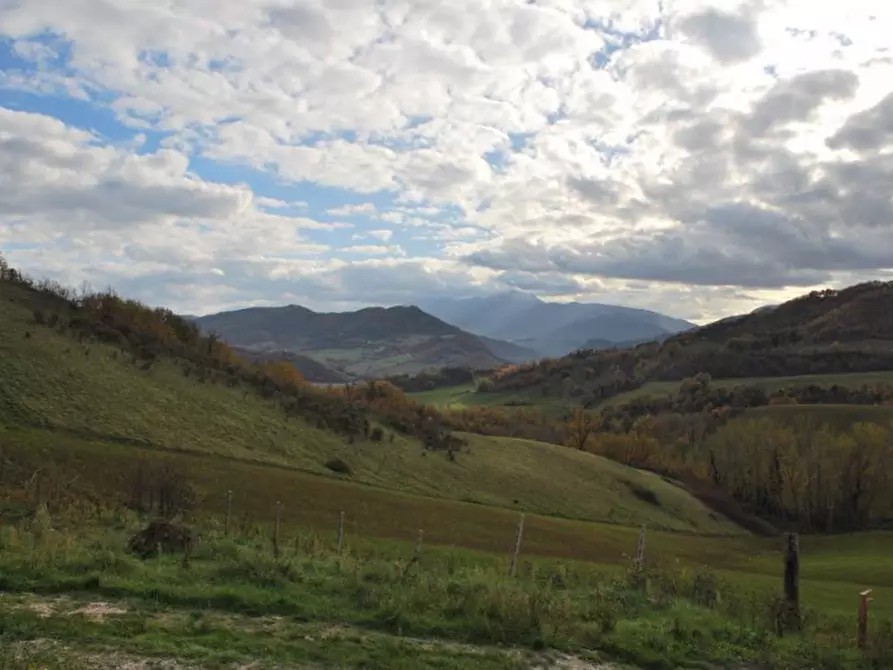 Immagine 5 di Rustico / casale in vendita  a Acqualagna