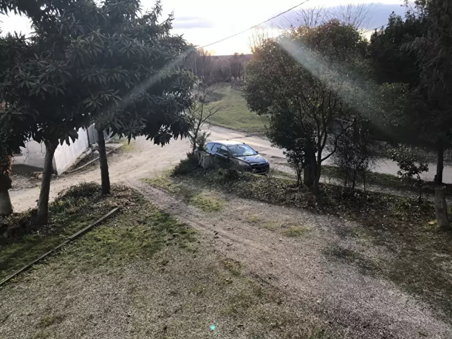 Immagine 3 di Appartamento in vendita  a Vo