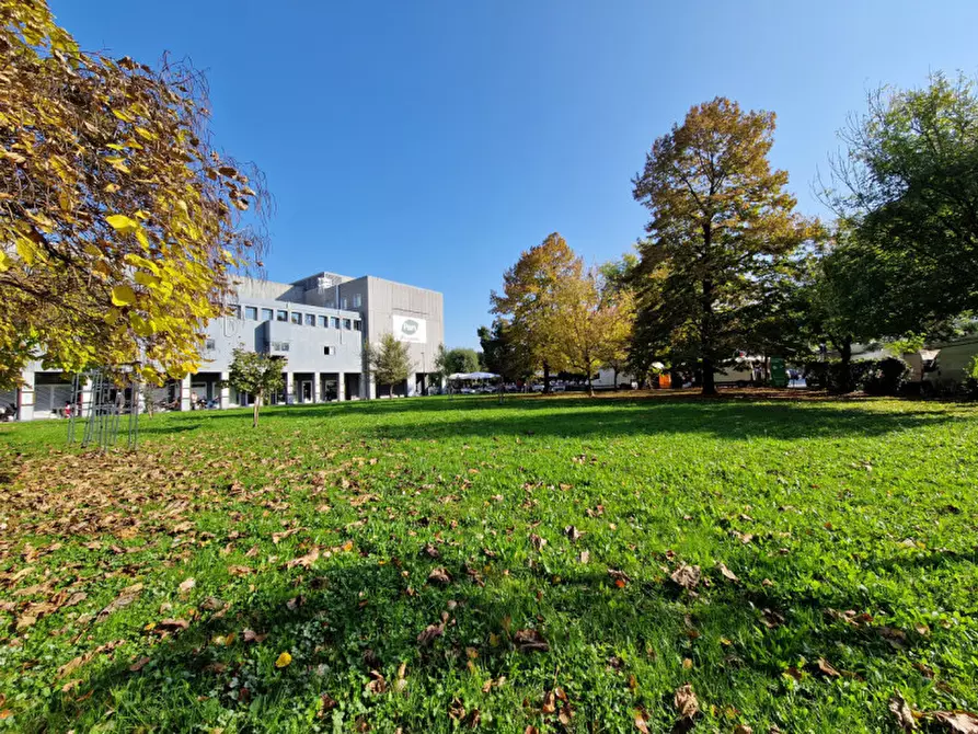 Immagine 15 di Negozio in affitto  a Padova