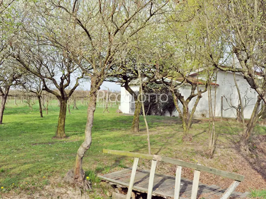 Immagine 29 di Villa in vendita  in Via Cristoforo Colombo a Jesolo