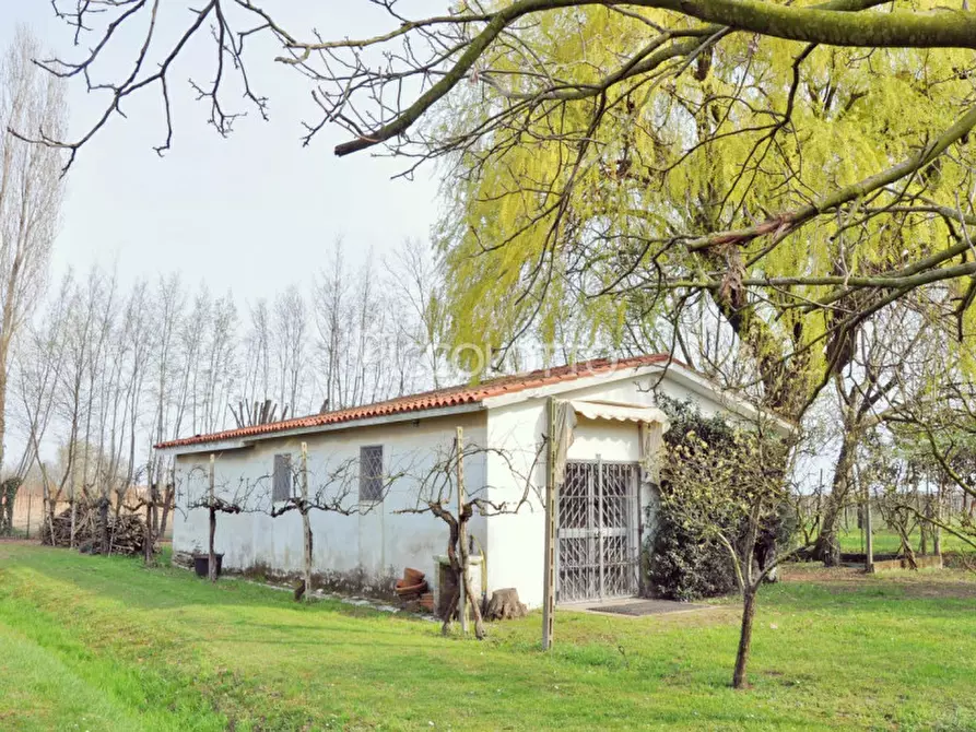 Immagine 30 di Villa in vendita  in Via Cristoforo Colombo a Jesolo