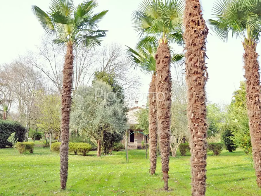 Immagine 31 di Villa in vendita  in Via Cristoforo Colombo a Jesolo