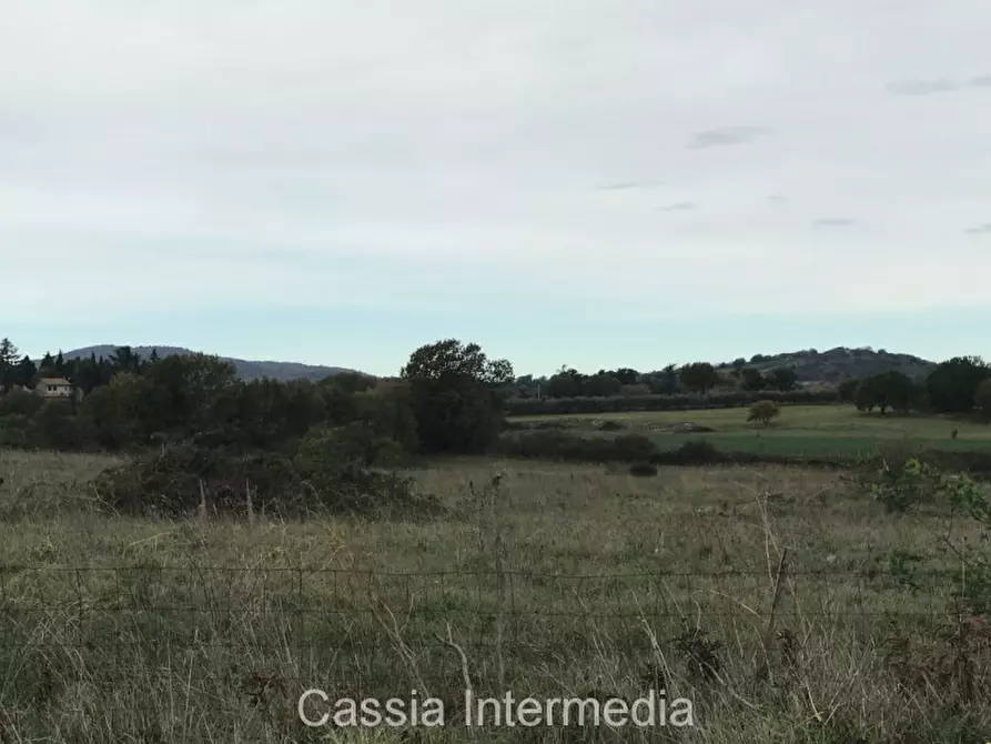 Immagine 2 di Terreno in vendita  in Via dell'Umiltà a Nepi