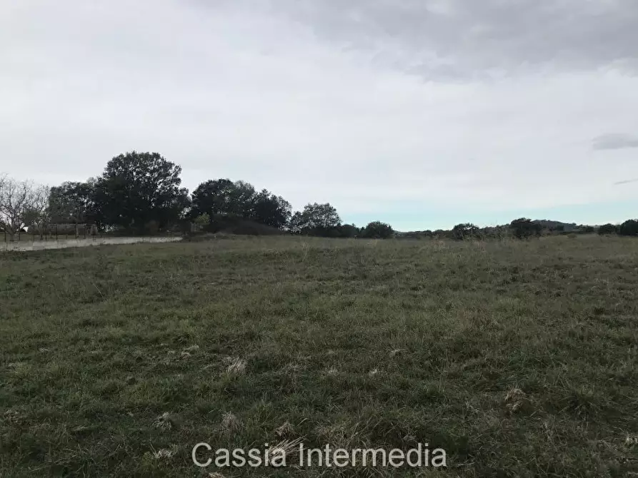 Immagine 4 di Terreno in vendita  in Via dell'Umiltà a Nepi