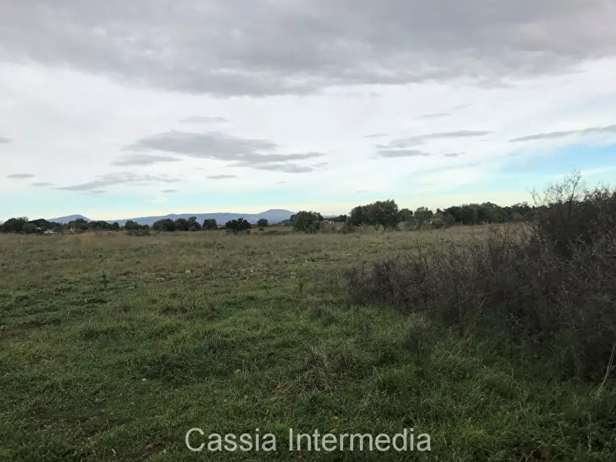 Immagine 5 di Terreno in vendita  in Via dell'Umiltà a Nepi