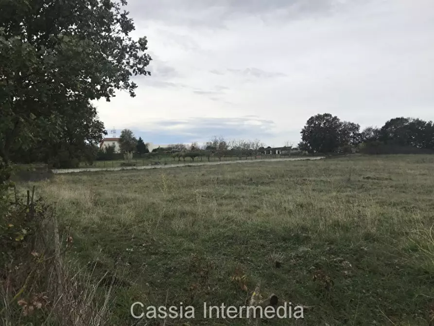 Immagine 6 di Terreno in vendita  in Via dell'Umiltà a Nepi