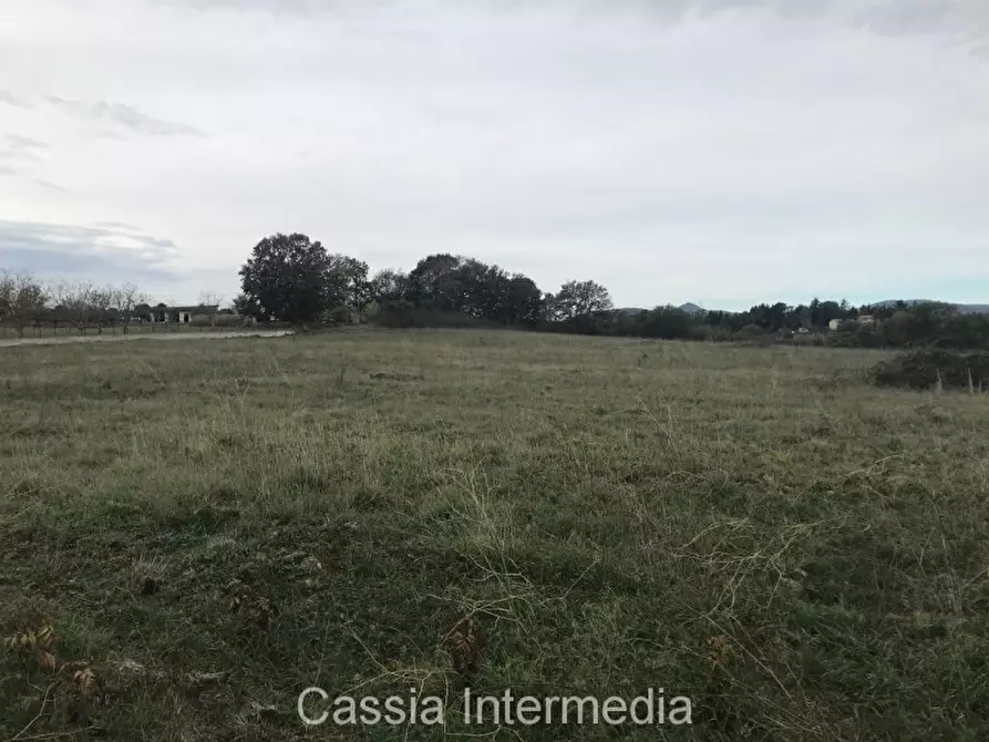 Immagine 7 di Terreno in vendita  in Via dell'Umiltà a Nepi