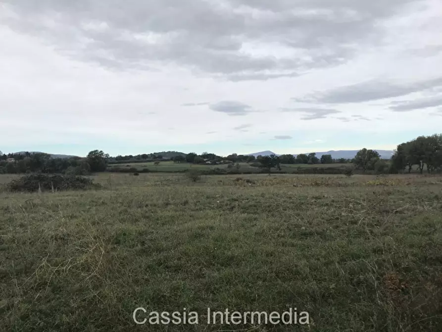 Immagine 8 di Terreno in vendita  in Via dell'Umiltà a Nepi