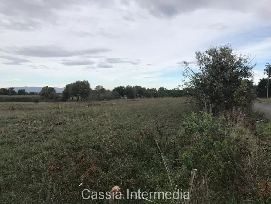Immagine 9 di Terreno in vendita  in Via dell'Umiltà a Nepi