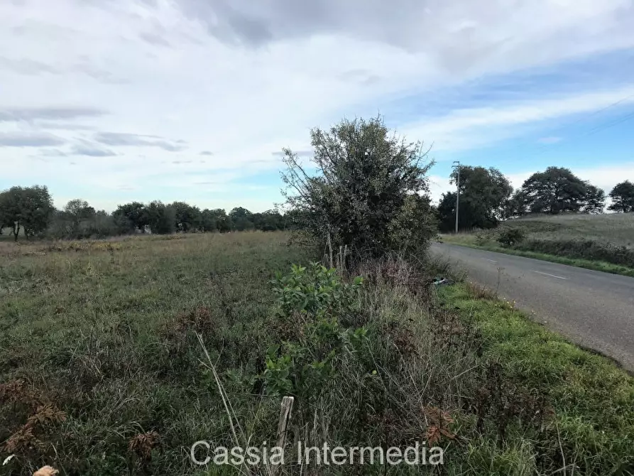 Immagine 10 di Terreno in vendita  in Via dell'Umiltà a Nepi