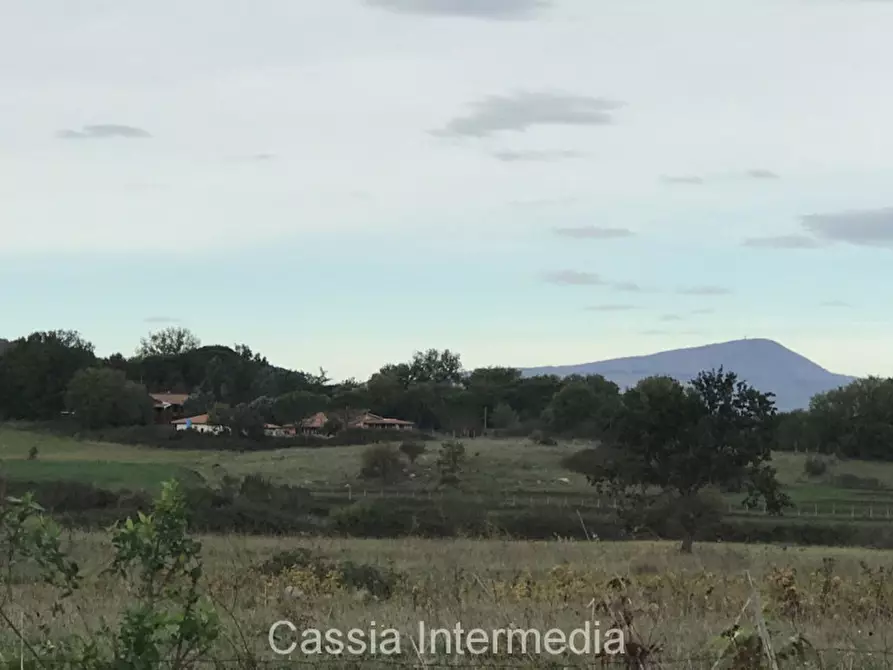 Immagine 11 di Terreno in vendita  in Via dell'Umiltà a Nepi
