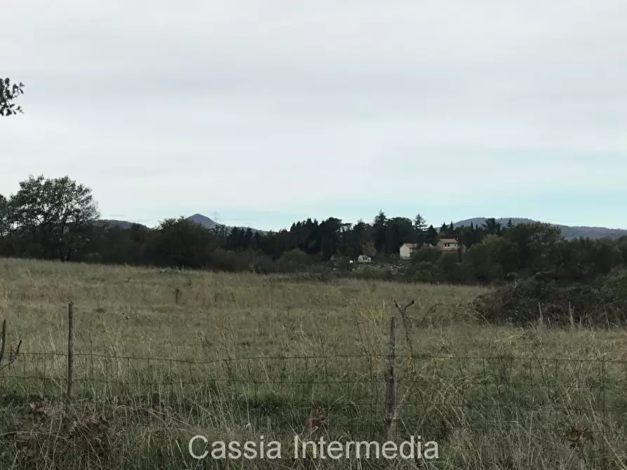 Immagine 12 di Terreno in vendita  in Via dell'Umiltà a Nepi