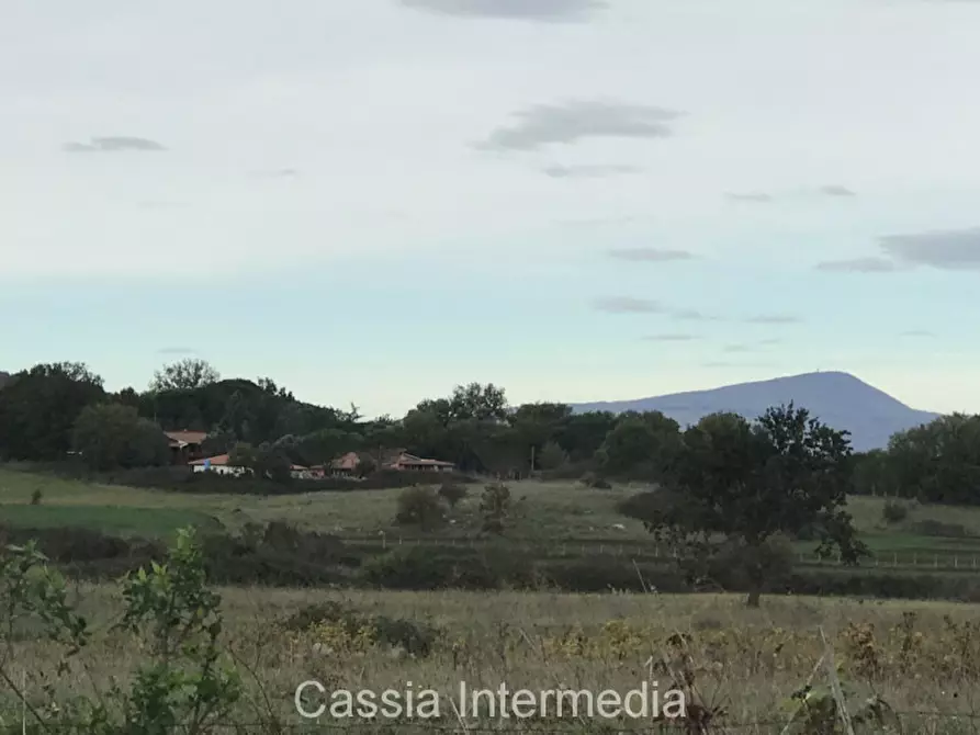 Immagine 14 di Terreno in vendita  in Via dell'Umiltà a Nepi