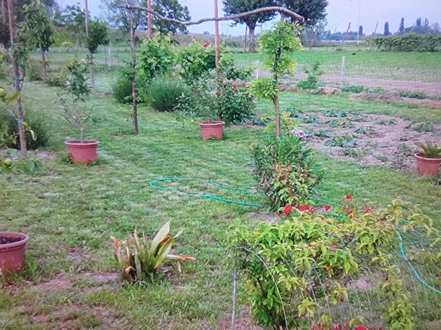 Immagine 2 di Casa indipendente in vendita  in Prà d'Este a Este