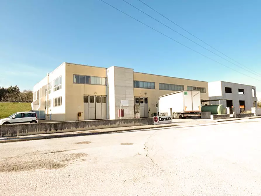 Immagine 2 di Capannone industriale in vendita  a Cagli