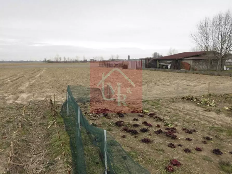 Immagine 6 di Terreno in vendita  in via Martiri della Libertà a Terzo Di Aquileia