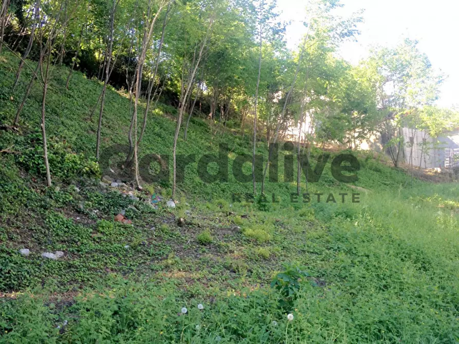 Immagine 5 di Terreno in vendita  in Via Boccale a Puegnago Sul Garda