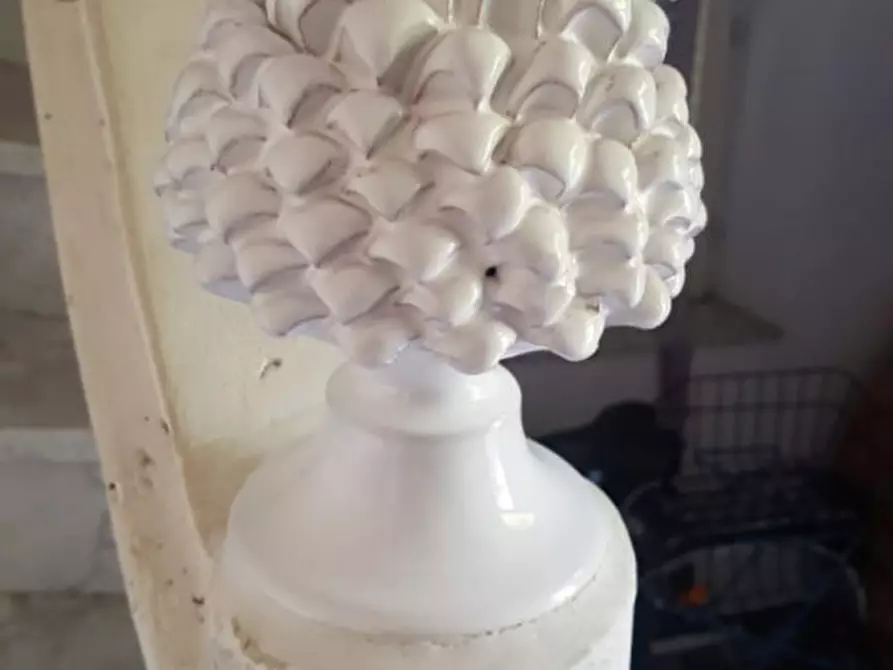 Immagine 25 di Villa in vendita  in viale mencacci a Anzio