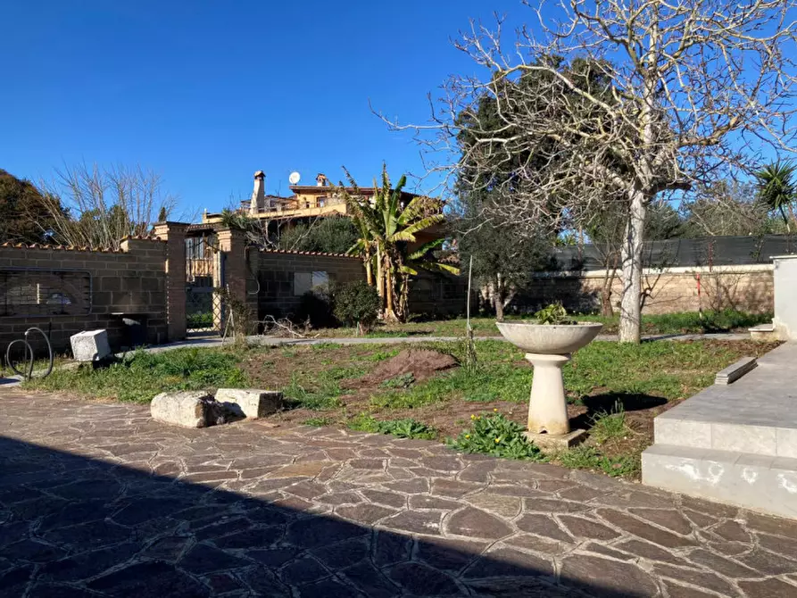 Immagine 13 di Villa in vendita  in VIA MONTASOLA a Nettuno