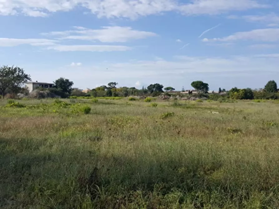 Immagine 3 di Terreno in vendita  in via delle azalee a Nettuno