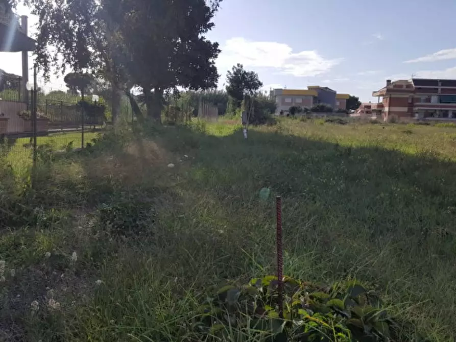 Immagine 4 di Terreno in vendita  in via delle azalee a Nettuno
