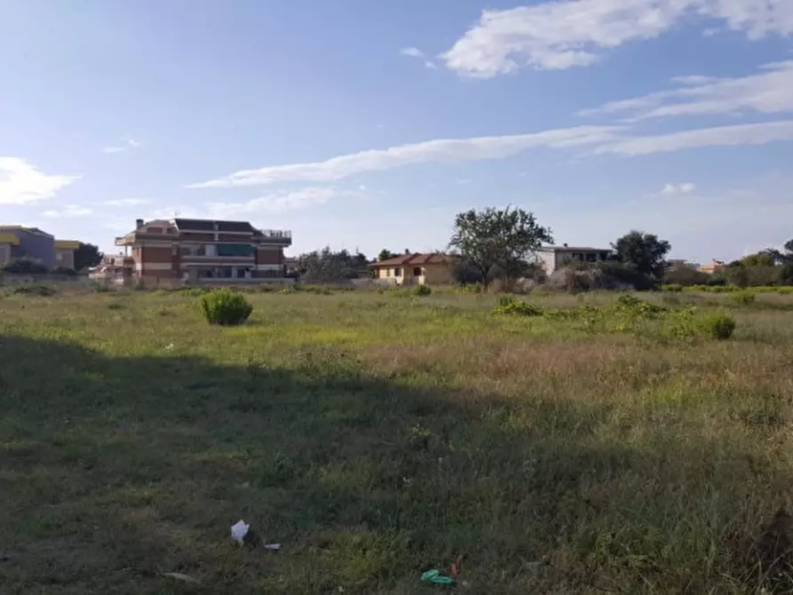 Immagine 6 di Terreno in vendita  in via delle azalee a Nettuno