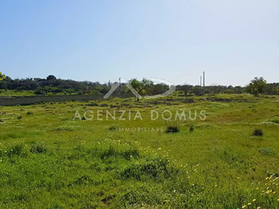 Immagine 2 di Terreno in vendita  in Via Vecchia Gallipoli a Alliste