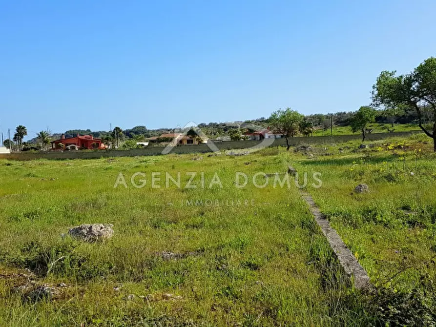 Immagine 3 di Terreno in vendita  in Via Vecchia Gallipoli a Alliste
