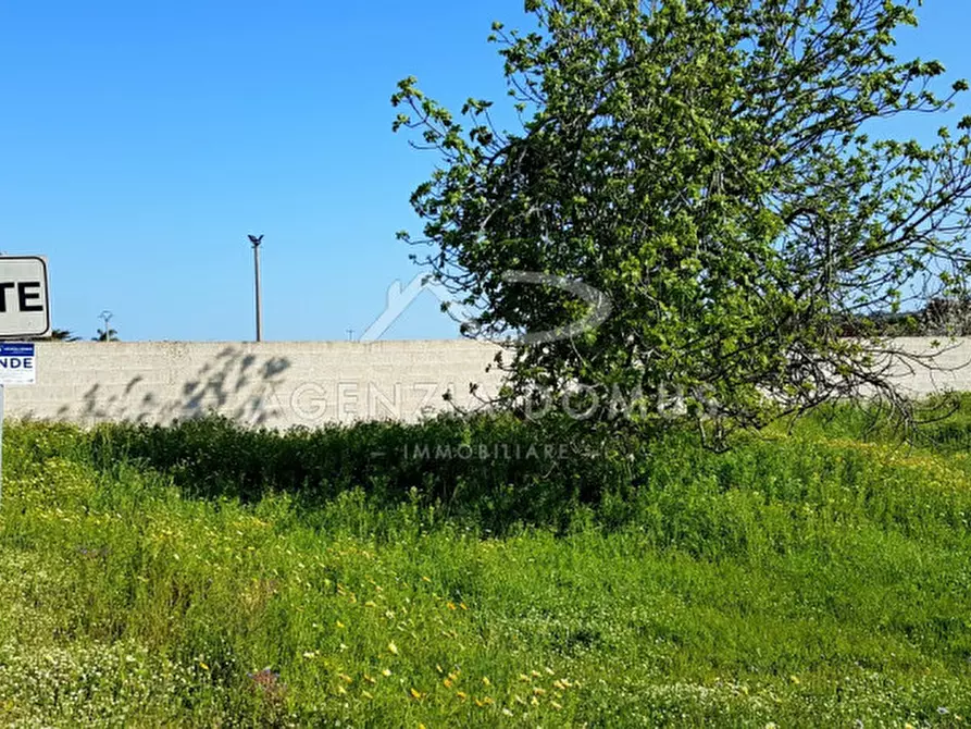 Immagine 4 di Terreno in vendita  in Via Vecchia Gallipoli a Alliste