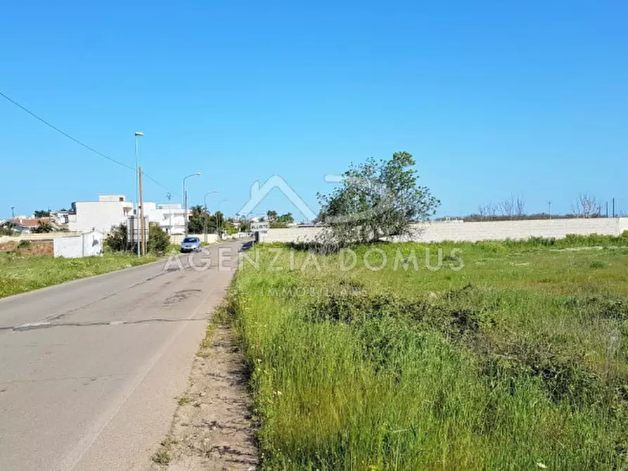 Immagine 5 di Terreno in vendita  in Via Vecchia Gallipoli a Alliste