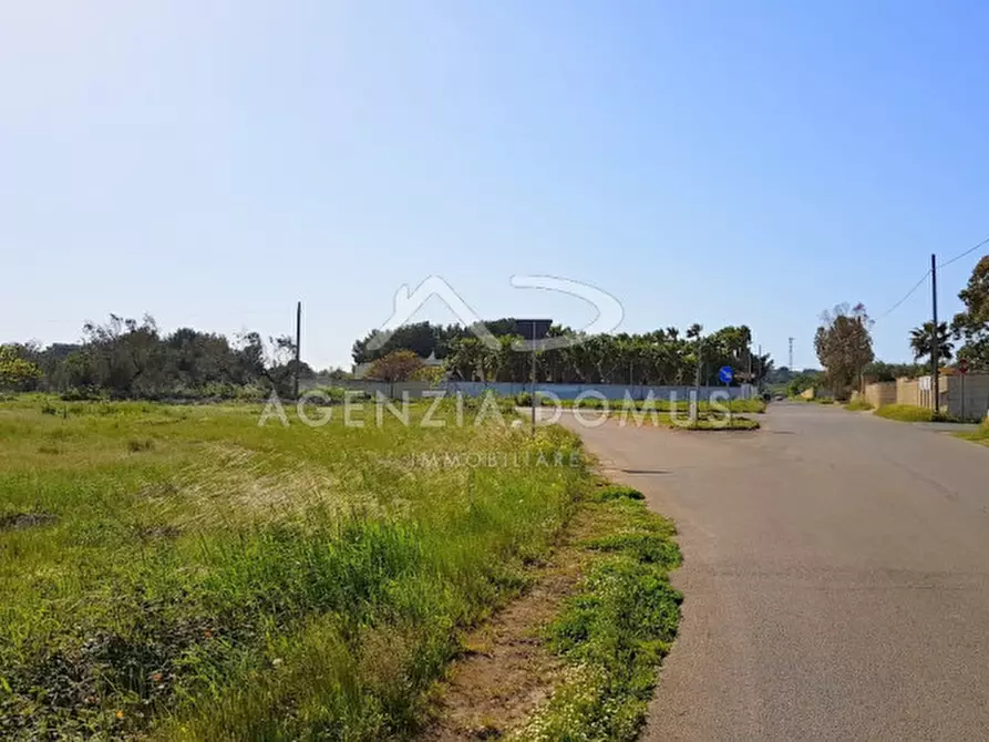 Immagine 7 di Terreno in vendita  in Via Vecchia Gallipoli a Alliste