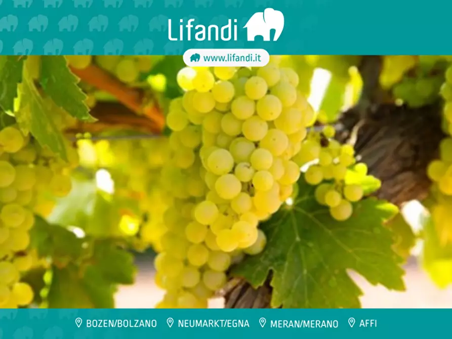 Immagine 1 di Rustico / casale in vendita  a Affi