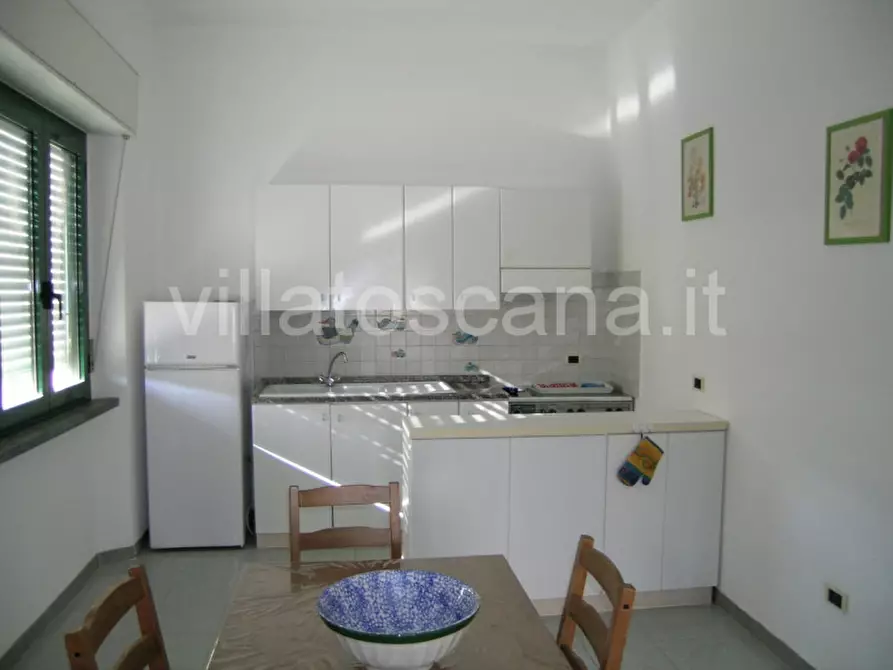 Immagine 2 di Appartamento in vendita  a Castiglione Della Pescaia